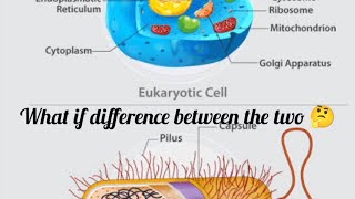 prokaryotic cell and Eukaryotic cell by Mohd Saim RTN [upl. by Vivie]