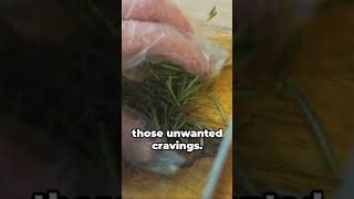 How Adding Rosemary Can Effect Weight Loss nutritionfacts weightloss healthbenefits [upl. by Etnovad]