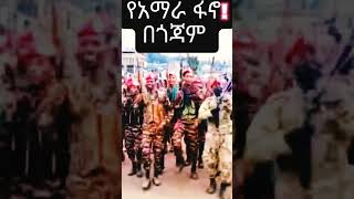 ተው ተው የአማራ ፋኖ ቅራርቶ Amhara Fano Kererto [upl. by Deryl]