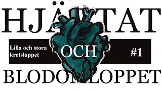 Åk 8 Blodomloppet del 1 Stora och lilla kretsloppet [upl. by Bannerman357]