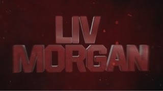 Liv Morgan Custom Titantron 2017 \ Heel \ NXT Divas [upl. by Ivana]