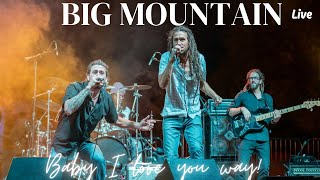 Big Mountain  Baby I Love Your Way Live at Hornbill Festival 2024 Closing Ceremony [upl. by Alihet537]