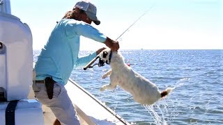 Louisiana Trout amp Redfish Fishing ft This Crazy Cute Dog [upl. by Ahsinel]