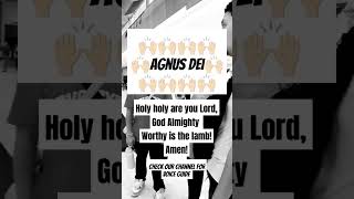 Agnus Dei Acapella choir hymn acapella music tutorial singing gospelmusic worshipmusic song [upl. by Enilehcim]