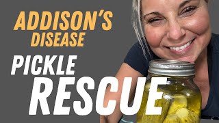 Addisons Disease  PICKLE RESCUE [upl. by Plank]