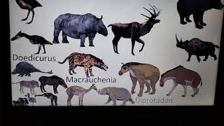 Cenozoic beasts size comparison [upl. by Wistrup]