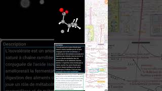 métabolisme des amino acide de la valine cataboliser en isovalérate [upl. by Lowry]