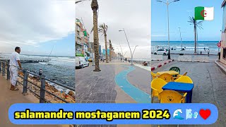 اكتشف معي سلمان مستغانم الجديدة salamandre mostaganem 2024 [upl. by Gib]