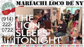 The Lion Sleeps Tonight  El mejor mariachi de New York  Mariachi Loco de NY 914 2220722 [upl. by Ahsykal]