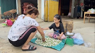 Poor girl harvests eggplants to sell and makes pickled eggplants [upl. by Verne]