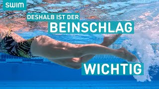 DESHALB ist der Beinschlag beim Kraulschwimmen wichtig  SWIM Technik [upl. by Airaet]