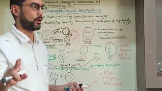 Geneticslecture 24  autopolyploidy and allopolyploidy [upl. by Eenerb]