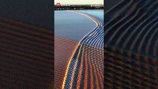 Worldfamous Qiantang tidal bore roars in east China [upl. by Ardnoel329]