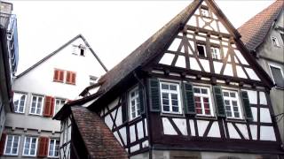 Tübingen Germany a historic university city [upl. by Adamo304]