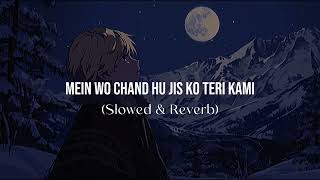 Mein Wo Chand Jis Ko Teri Kami Slowed and Reverb [upl. by Goldsmith]