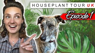 HOUSE PLANT TOUR UK  Episode 1 🌿 Pulborough Garden Centre [upl. by Mohammed]