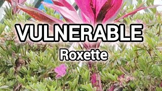 Vulnerable  Roxette [upl. by Notlad]