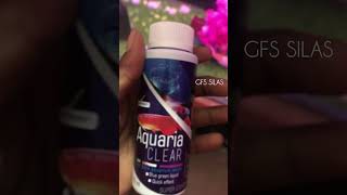 🙀Tips for ultra clear 💦 gfssilas aquarium fish shortsfeed trending tips youtubeshorts [upl. by Acinehs859]