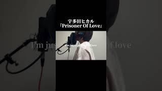 宇多田ヒカル『Prisoner Of Love』cover [upl. by Aillij]