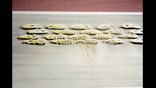 Stop Motion Creating a Large Feather Carving [upl. by Aunson]