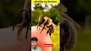 মৌমাছি কীভাবে মধু উৎপাদন করে😱shortshoney bee facts [upl. by Hallett]