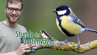 Vogelbeobachtung im Garten  für den guten Zweck [upl. by Attehcram]