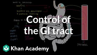 Control of the GI tract  Gastrointestinal system physiology  NCLEXRN  Khan Academy [upl. by Teraj694]