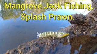 MANGROVE JACK FISHING BEST EVER SURFACE PRAWN [upl. by Nnahgaem]