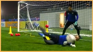 Professional Goalkeeper Training [upl. by Suckow]