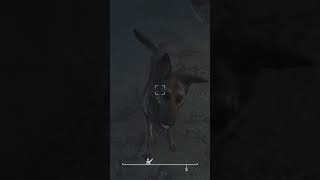 Fallout 4 Meeting Dogmeat fallout fallout4 gaming dog viral subscribe [upl. by Marissa]