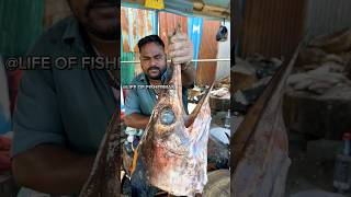 KASIMEDU🔥WAHOO KOLA FISH CUTTING VIDEOkasimedufishcutting youtubeshorts fishcuttingvideo [upl. by Alysa]