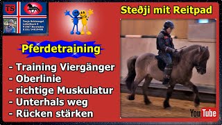 Stedji Reitpad Pferdetraining Tipps aus Unterricht Isländer Islandpferd Tanja Schienagel [upl. by Itsirc]