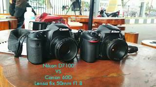 Hasil Nikon D7100 vs Canon 60D lensa fix 50mm f18 [upl. by Finzer]