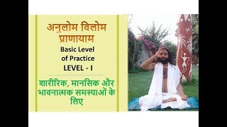 अनुलोम विलोम का एकदम सही तरीका और इसके लाभ  Level 1 of Alternate Breathing by Nityanandam Shree [upl. by Enoitna]