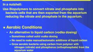 Biodegradable Polymers  DrTims Aquatics [upl. by Ylus]