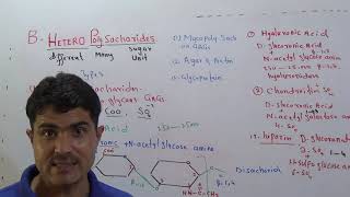 Heteropolysacharides and its Types Lecture6  GAGs  Mucopolysacharides with structure in ENGLISH [upl. by Arras]