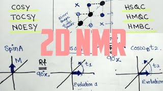 2DNMR WorkingCorrelation SpectroscopyCOSYNOESY MajidAli2020 [upl. by Ordnasela]