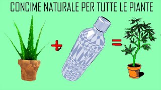 Concime liquido fatto in casa per tutte le piante ANCHE PER ORCHIDEE 🦋 aloevera  DevaNatura [upl. by Eenitsed]