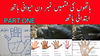 TYPES OF PALM  PRIMARY PALM  ANIMAL PALM  IBTADAIE PALM  FIRST LESSON OF PALMISTRY PART 01 [upl. by Figueroa]