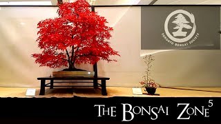 The Toronto Fall Bonsai Show Oct 2018 [upl. by Bremer134]