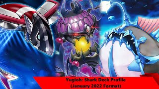 Yugioh Shark Deck Profile January 2022 Format [upl. by Yonit]