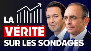 Eric Zemmour  La vérité sur les sondages par Guillaume Peltier [upl. by Soirtemed]