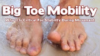 Why Big Toe Mobility Is So Important For Stability And Movement [upl. by Ramor151]