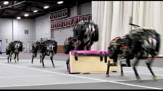 MIT cheetah robot lands the running jump [upl. by Arannahs]