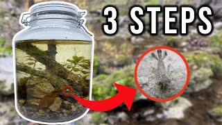 HOW TO Make An Ecosphere  Whats Inside [upl. by Sadye]