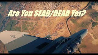 DCS F4E DEAD SA2 dcsworld phantom shrike [upl. by Harras970]