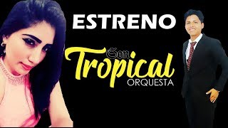 Estreno Palomita Errante Orquesta Son Tropical [upl. by Gillespie564]