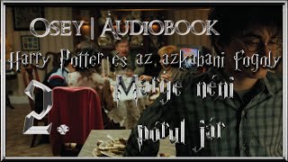 Harry Potter és az azkabani fogoly hangoskönyv remake  2 fejezet [upl. by Ailen]