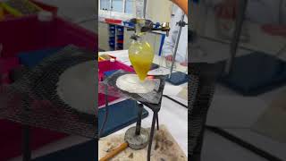 Lauren and Minty extraction of limonene from orange peel [upl. by Alvina]