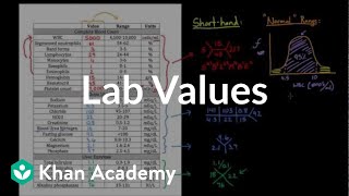 Introduction to lab values and normal ranges  Health amp Medicine  Khan Academy [upl. by Oicinoid44]